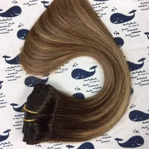 20 Inch 85g Remy Balayage Ombre Clip in Hair Extensions Double Weft 100% Remy Human Hair Clip in Extensions 4/27/4 Balayage Color 7 Pieces