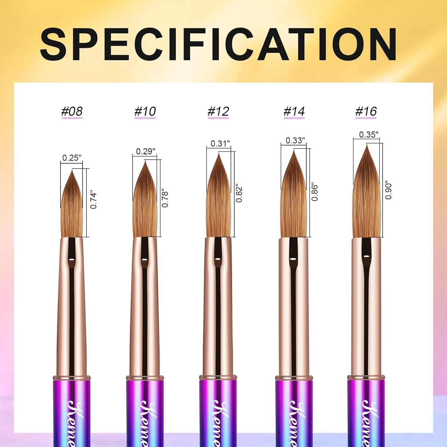 2PCS Acrylic Nail Brush, Nail Liner Brushes&Size #08 100% Kolinsky Nail Art Brushes for Acrylic Application, Sturdy Handle Oval Shaped Acrylic Nail Design Tools for Professional Manicure DIY