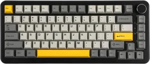 AJAZZ AK820 MAX HE Hall Effect Magnetic Gaming Keyboard, Adjustable Actuation, 8KHz Polling Rate, Wired Rapid Fast Keyboard, Creamy Gasket, RGB Backlight, NKRO for Win/Mac (Black)