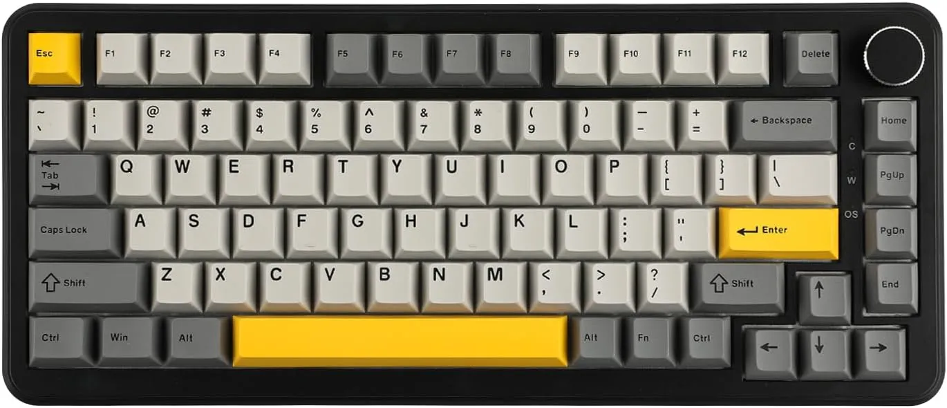 AJAZZ AK820 MAX HE Hall Effect Magnetic Gaming Keyboard, Adjustable Actuation, 8KHz Polling Rate, Wired Rapid Fast Keyboard, Creamy Gasket, RGB Backlight, NKRO for Win/Mac (Black)