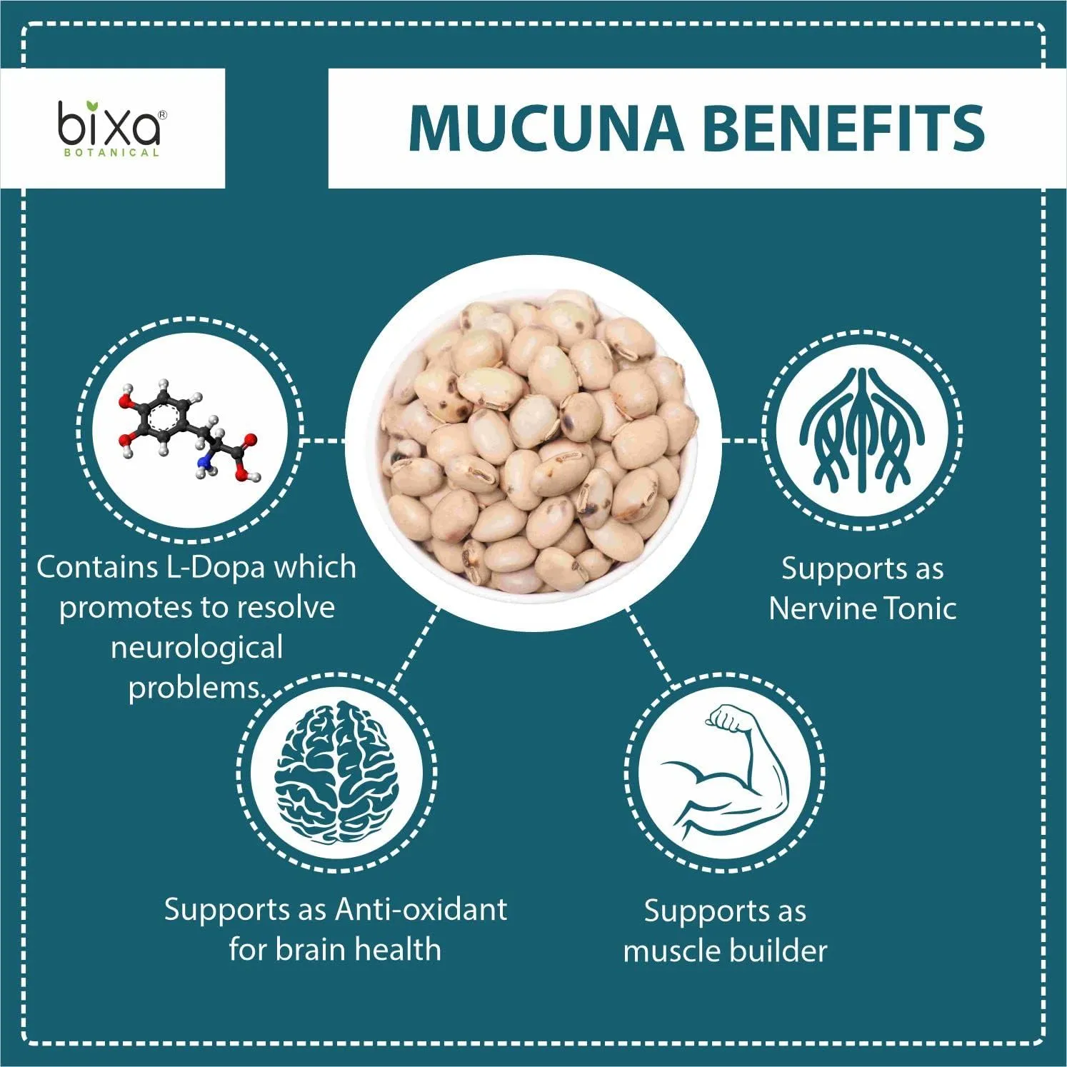 bixa BOTANICAL Mucuna Pruriens Powder | Velvet Bean Powder | Kapikacchu | Kaunch Beej | Ayurvedic Herbal Supplement ǀ Energy Booster | 1 Pound / 16 OZ | Gluten Free, Non-GMO, Steam Treated, Vegan,
