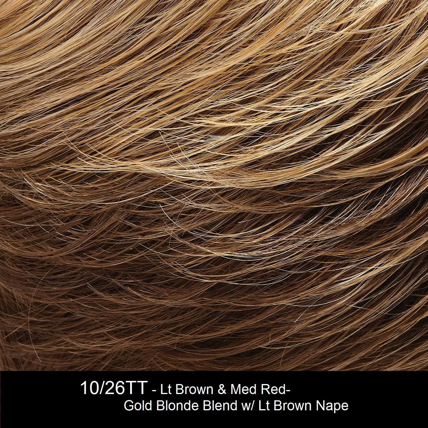 Jon Renau Ignite Lace Front HD Wig 4PC Bundle with Plastic Wig Stand, Wide Tooth Comb, 19 Belle of Hope Page Q and A Guide (10/26TT)