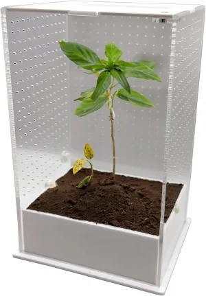Jumping Spider Enclosure (4.7"x3.9"x7.8"), Spider Terrarium, Praying Mantis Habitat, Suitable for Small Arboreal Reptiles, Mantises, Spiders, and Other Invertebrates
