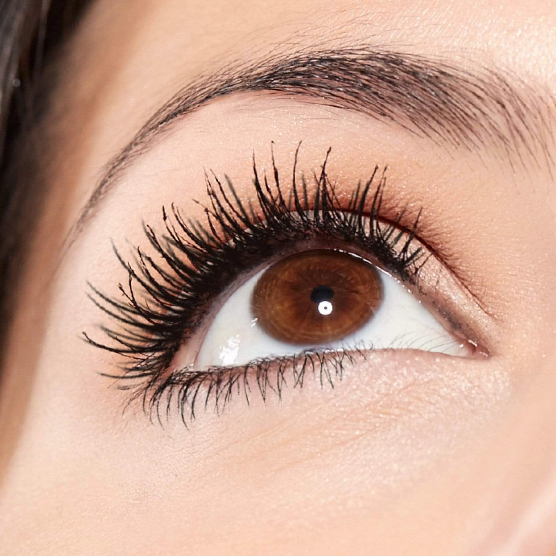 Lash Mania Magnomatic Volume Vivian Must Have Trio