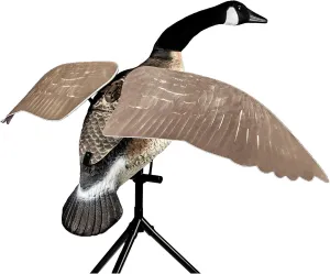 Lucky Duck Lucky Flapper Canada Goose