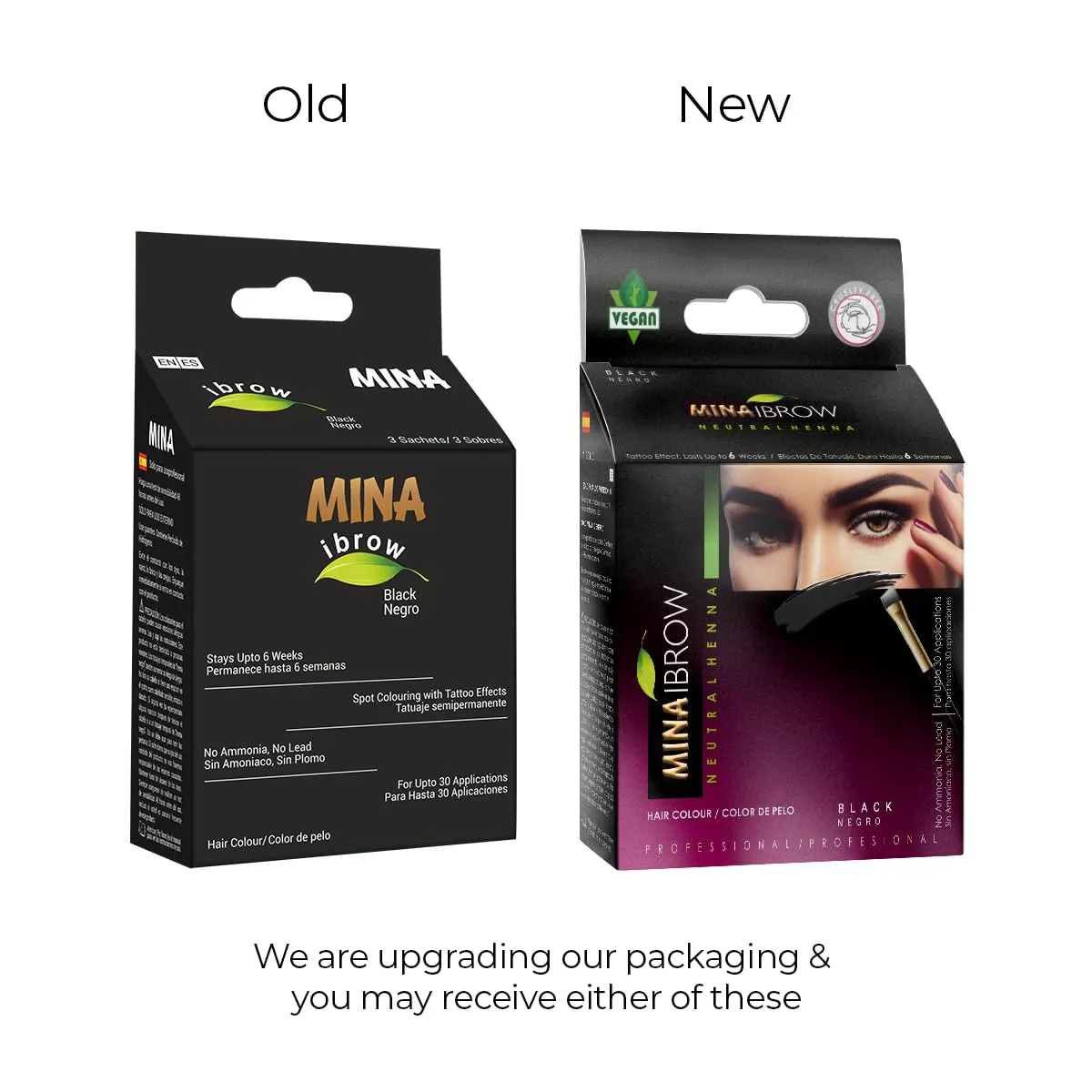 MinaiBrow Black Natural Tinting Powder with Rose Water & Duo Angled Brush | Smudge-Proof Instant Brow Dye for 100% Gray Coverage