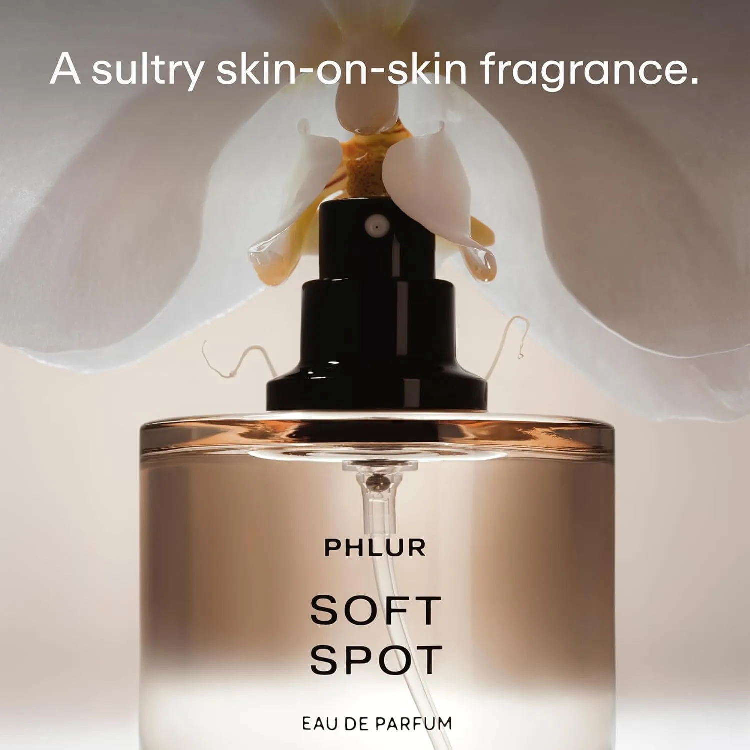 PHLUR Soft Spot Eau de Parfum - Full Size Perfume for Women & Men Fragrance - Floral Amber Musk Perfume with Bergamot, Mandarin, Jasmine, Sandalwood & Vanilla (50mL)