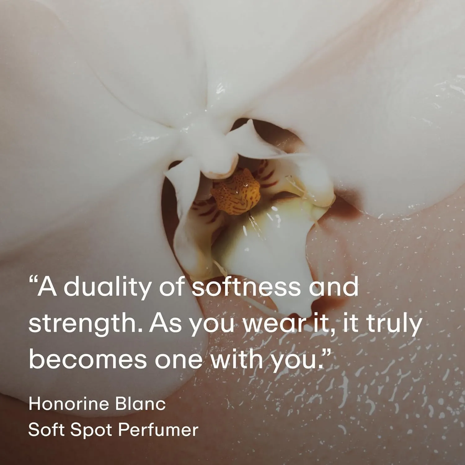 PHLUR Soft Spot Eau de Parfum - Travel Size Perfume for Women & Men Fragrance - Floral Amber Musk Perfume with Bergamot, Mandarin, Jasmine, Sandalwood & Vanilla (9.5mL)