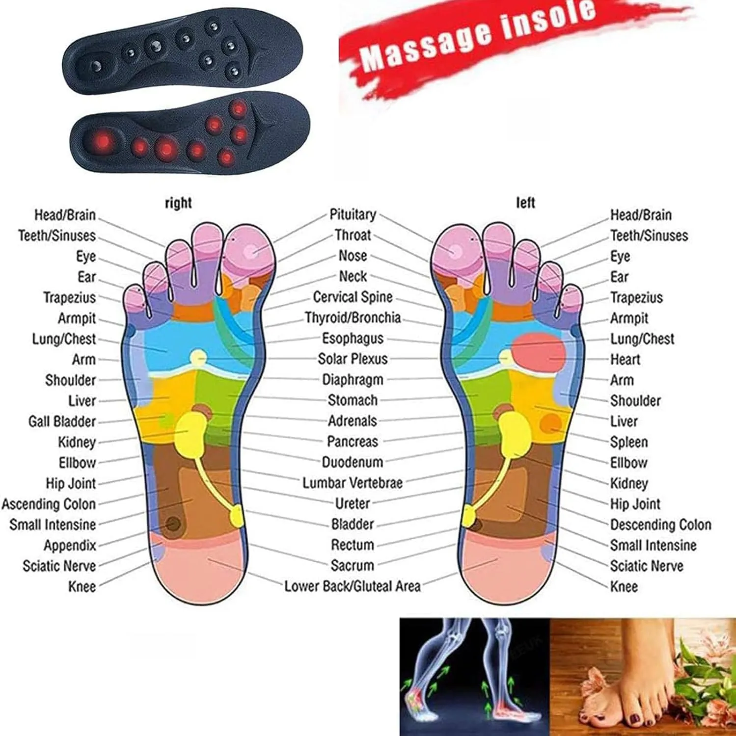 Unisex Magnetic Massage Insoles Foot Acupressure Shoe Pads, Acupressure Slimming Insoles for Weight Loss Washable and Cutable Reflexology Pain Relief Shoe Insoles for Men & Women,L(42-48),2 PAIRS