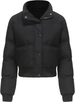 Women's Crop Puffer Vest Sleeveless Winter Casual Stand Collar Warm Padded Puffer Jacket Lightweight Y2k with Pocket
